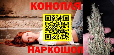 гидра Камышлов